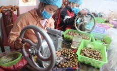 Sáp – mật ong nuôi trong hũ thủy tinh và Macca sấy của Đắk Lắk lọt Top 100 đặc sản quà tặng Việt Nam (2021 – 2022)