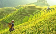 Việt Nam vào top đầu thế giới về lượt tìm kiếm du lịch
