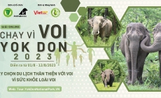 Giải online “Chạy vì loài voi Yok Đôn” lần 2 năm 2023