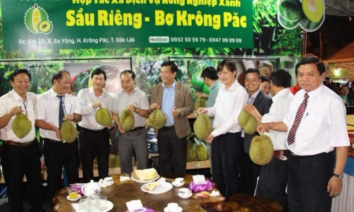Đắk Lắk sẽ tổ chức Lễ hội sầu riêng năm 2022