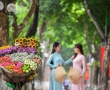 Giải thưởng Du lịch Thế giới 2024: Việt Nam được đề cử ở nhiều hạng mục