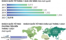 Khách quốc tế đến Việt Nam giảm 99,1% trong tháng 1