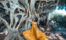 Cây si cổ thụ có bộ rễ “khủng” hút du khách tới chụp ảnh ở Đắk Lắk