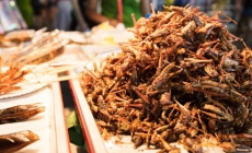 10 món ăn kỳ lạ nhất định phải thử khi du lịch đến Thái Lan