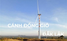 Cánh đồng quạt gió ở Đắk Lắk đẹp như ngoại ô Châu Âu, tha hồ chụp ảnh ‘sống ảo’