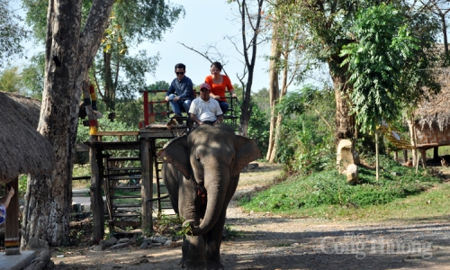 Đắk Lắk triển khai mô hình du lịch thân thiện với voi