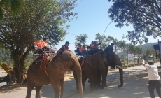 Đắk Lắk chấm dứt dịch vụ du lịch cưỡi voi: Nhân văn, thân thiện là thứ cần hướng tới