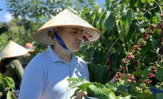 HTX miền Trung – Tây Nguyên: Mở hướng phát triển nông nghiệp du lịch