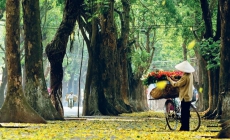 Du lịch Việt Nam ‘ghi điểm’ với truyền thông quốc tế