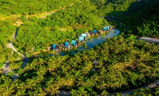 Việt Nam hướng tới mục tiêu phát triển du lịch xanh và bền vững
