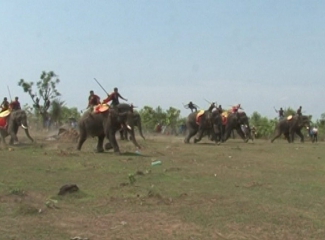 Hơn 55 tỷ đồng để chuyển đổi mô hình du lịch thân thiện với voi trên địa bàn tỉnh Đắk Lắk 