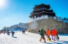 Vietnamese favour outbound tours to Japan, RoK during New Year holiday