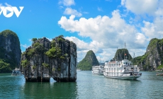 Vietnam among top 10 best places to go for budget honeymoon