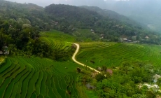 Du lịch xanh – Xu hướng phát triển bền vững của du lịch Việt Nam