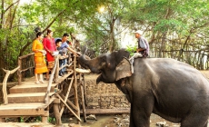 Đẩy mạnh truyền thông và du lịch “Tôi cười cùng voi, tôi ngưng cưỡi voi”