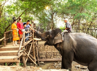 Đẩy mạnh truyền thông và du lịch “Tôi cười cùng voi, tôi ngưng cưỡi voi”