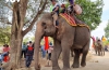 Độc đáo lễ cúng sức khỏe cho voi ở Buôn Đôn – Đắk Lắk