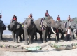 Du lịch thân thiện với voi – Hướng đi nhân văn