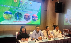 Liên kết phát triển du lịch giữa Đắk Lắk – Gia Lai – Kon Tum và thành phố Hải Phòng