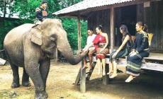 Du lịch thân thiện với voi – hướng mới nhân văn nhưng còn chậm chuyển đổi