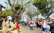 Đắk Lắk đón hơn 1,16 triệu lượt du khách trong năm 2023